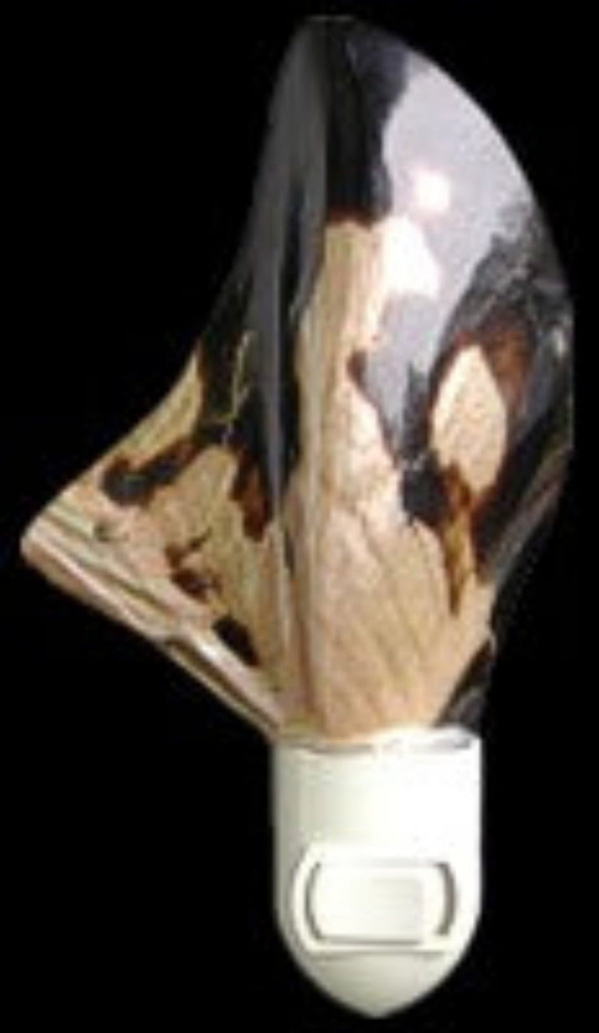Wing Oyster Shell Hand Crafted Nitelite measuring 4"  Sold Each  61326