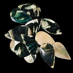 Abalone Shells Cut Into 2" Tear Drops Sold Each  ####