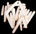 Albino Sea Urchin Spines measuring 2 to 3" SOLD OUT   61126