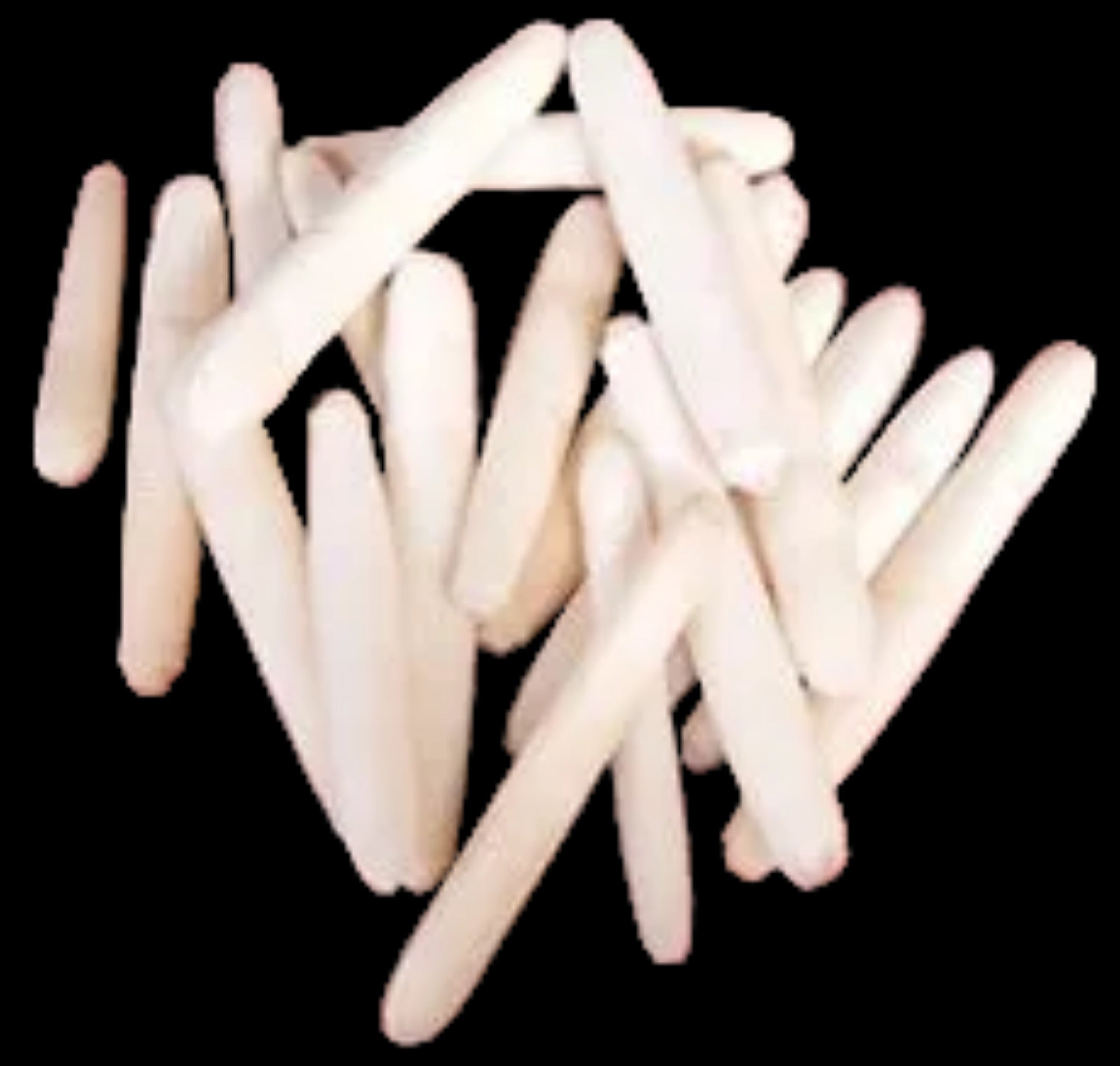 Albino Sea Urchin Spines measuring 2 to 3" SOLD OUT   61126