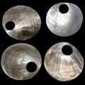 Blacklip Oyster Shell Rounds measuring 1 1/2" with 1/2" Hole for Jewelry Making  60726