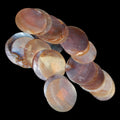 Cut BrownLip Oyster Shells measuring 1 to 1 1/2"  Sold Each     32926