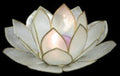 Capiz hand crafted 5x5" lotus Natural Color candle holder Sold Each  22726