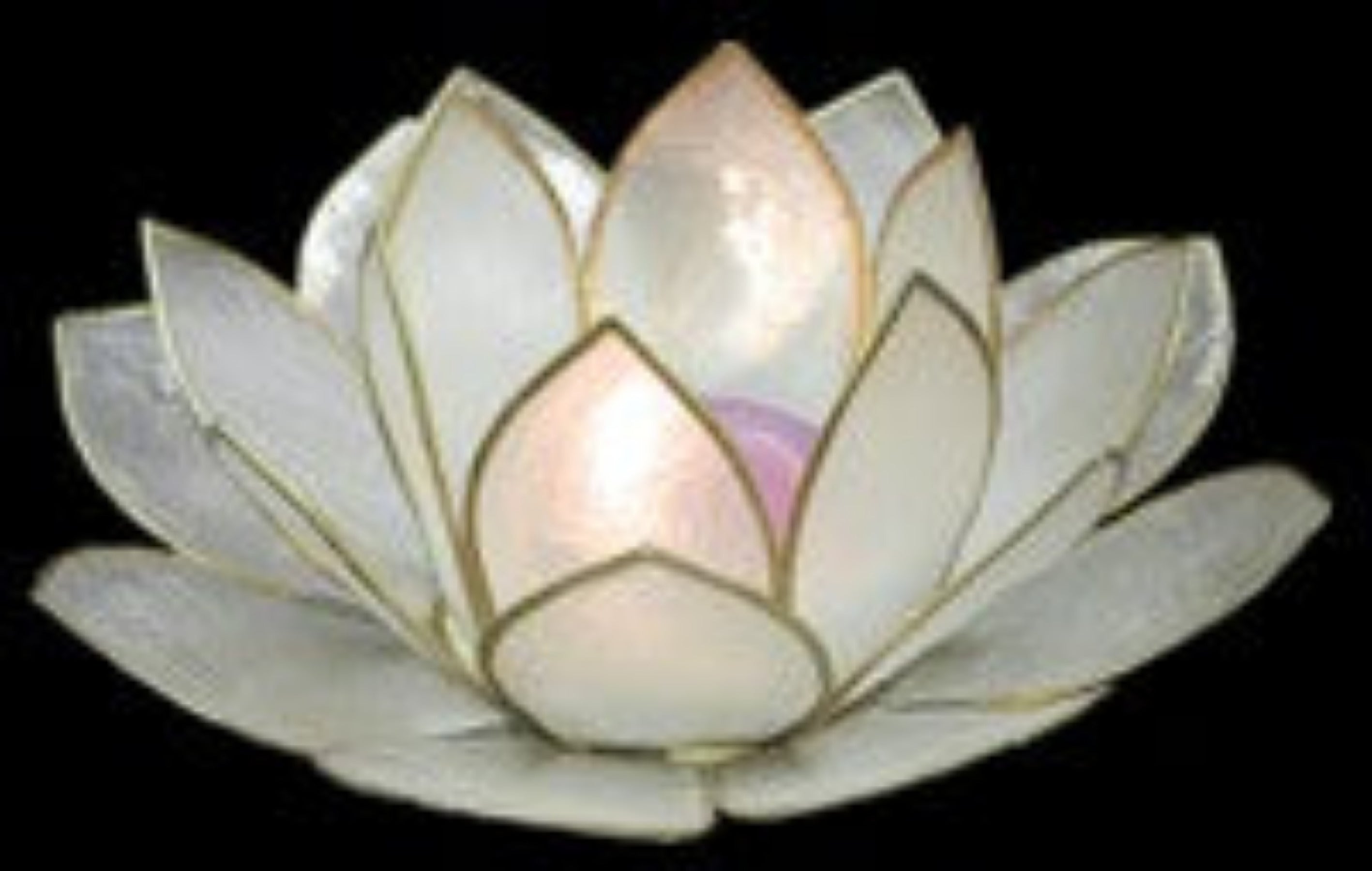 Capiz hand crafted 5x5" lotus Natural Color candle holder Sold Each  22726