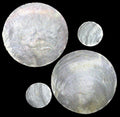 One Capiz Shell 3" Rounds No Holes     92826