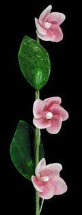 Cay Cay Pink Shell Flower Stem measuring 11"     61326