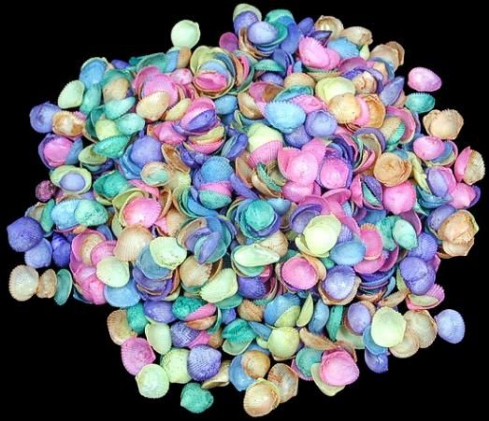 Dyed Asst Cap 1/2" or Less Shells By The 1/4 LBS    ####