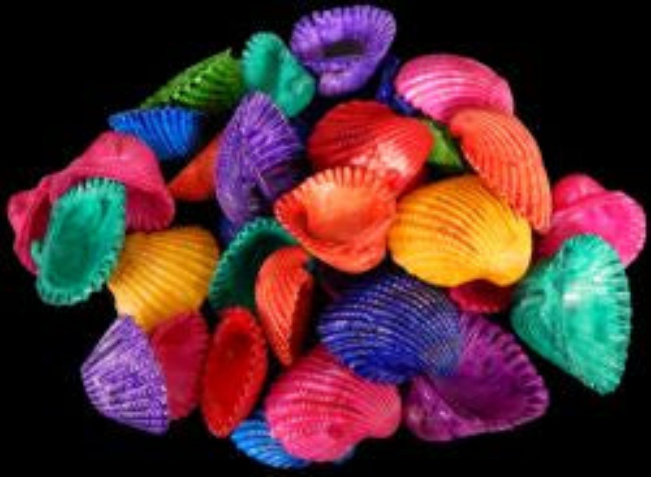 Ark shells dyed Asst colors 1 1/4 to 1 3/4" Sold by 1/4 LBS   ####