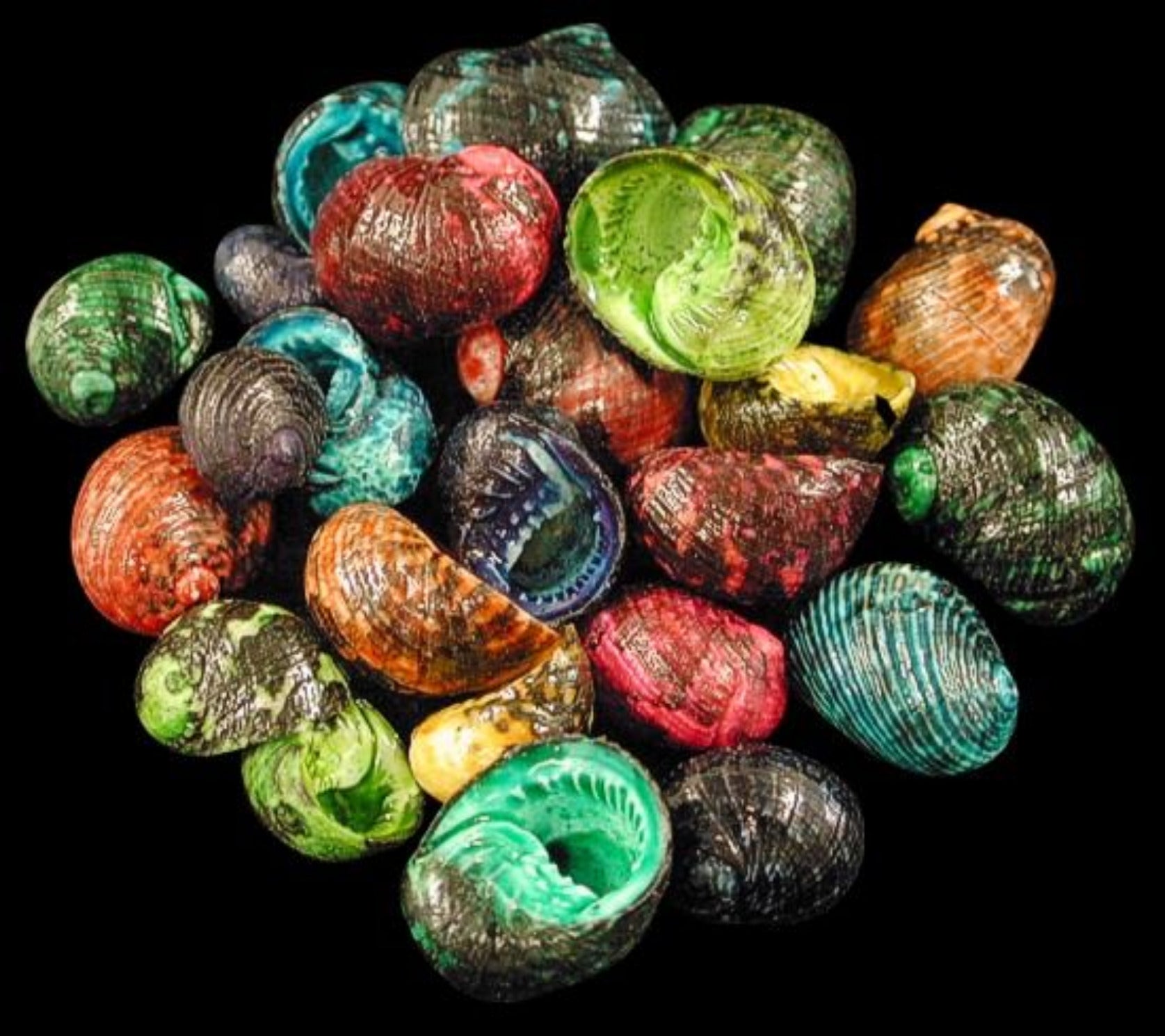 Dyed Asst Nerite 1" or Less Shells Sold By The 1/4 LBS    ####