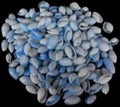 Dyed Blue Bullet Shells measuring 1/2 to 1" Sold by the 1/4 LBS       40526
