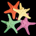 Dyed Assorted Knobby Starfish measuring 4 to 5" Sold Each         40526