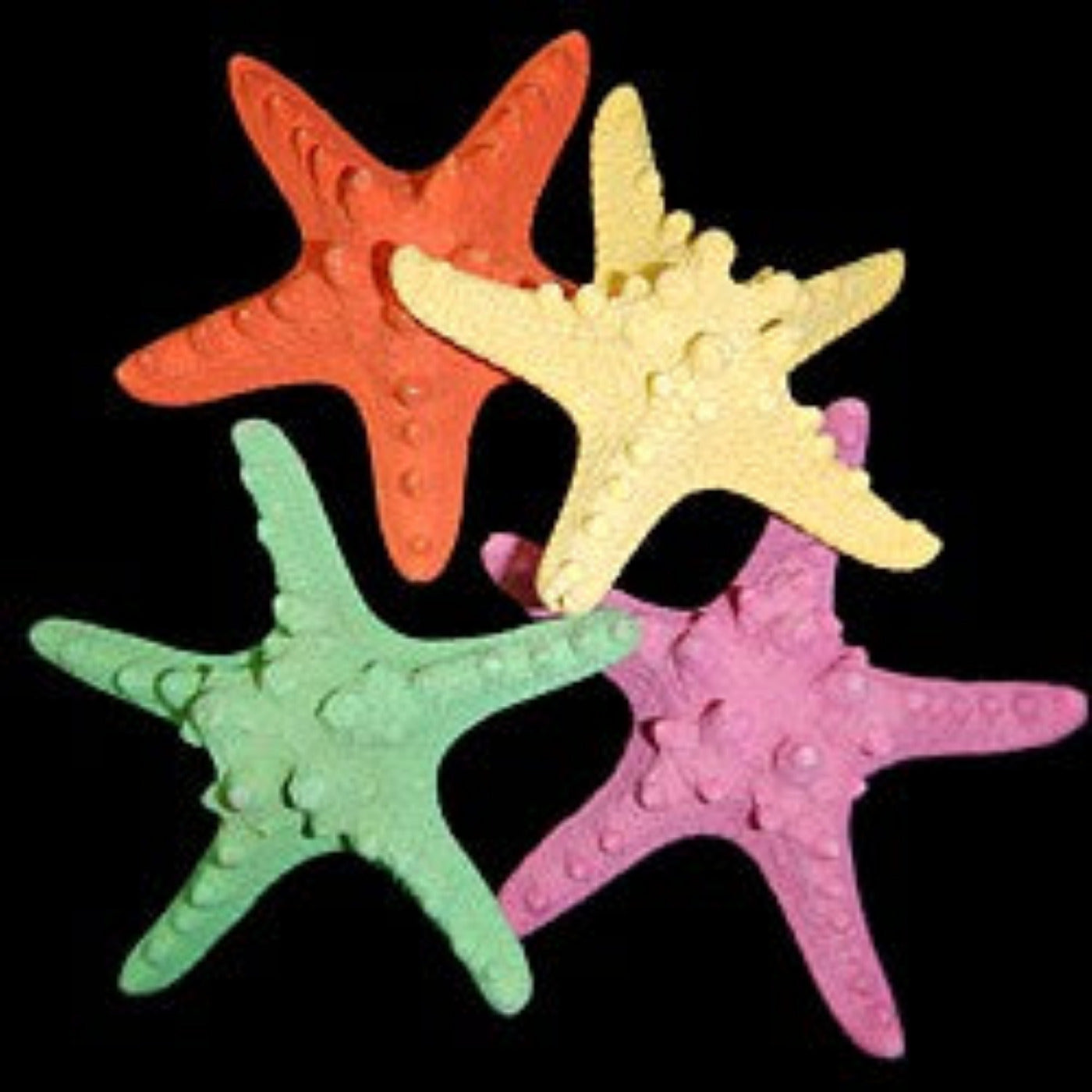 Dyed Assorted Knobby Starfish measuring 4 to 5" Sold Each         40526