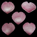 Dyed Pink Heart Scallop Shell Singles measuring 4 to 5"  Sold Each       40526