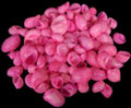 Dyed Pink Moon Shells measuring 1/2 to 1" Sold by the 1/4 LBS       40526