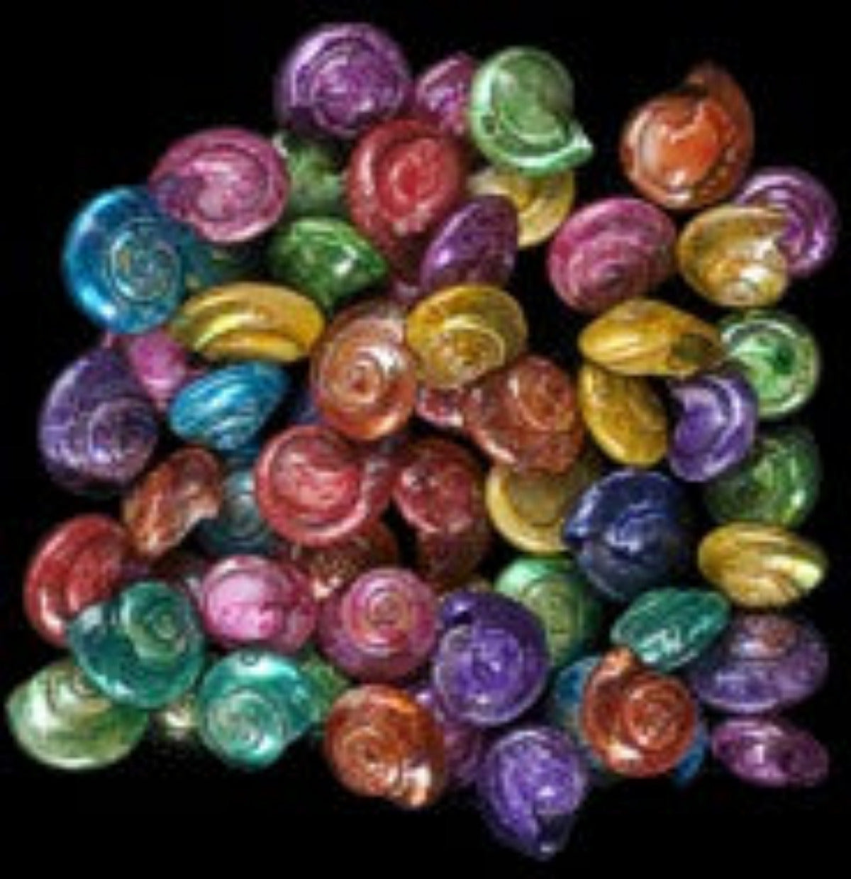 Dyed Asst Umbonium 3/8" or Less Shells Sold By The 1/4 LBS   ####