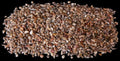 Tropical Shell Mix measuring 1/4" or Less Sold by the 1/4 pound 61226