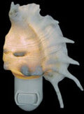 Lambis Shell Hand Crafted Nitelite measuring 4" Sold Each  61326