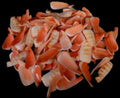 Strawberry Strombus Shell Lip Cuts  1 to 2" Sold by the 1/4 LBS  31726