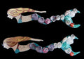 Shell Mermaid Magnet measuring 5"  Sold Each        41226