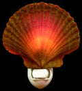 Mexican Flat Scallop Hand Crafted Shell Nitelite measuring 3" Sold Each   61226
