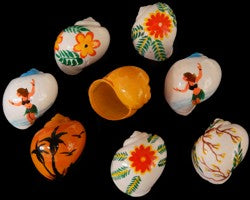 Hand Painted Assorted Tropical Scene Shells measuring 1 to 2" Shells Sold Each    40726