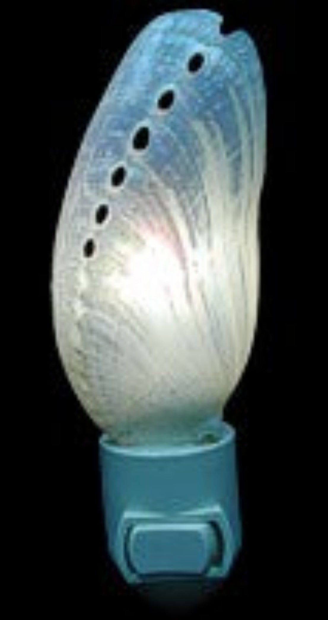 Nite Lite 3" Pearl Abalone Shell  Sold Each ##