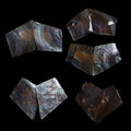 Pen Shells Cut into 1 to 2" Pieces  Sold Each   32526