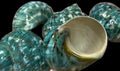 Polished Jade Turbo measuring 3 to 4" SOLD OUT