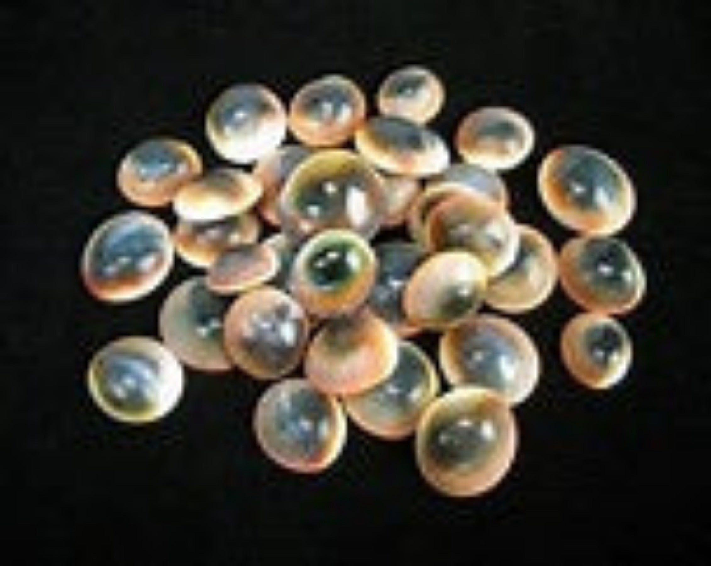 Red Cat Eye shell approximately 1/2" Sold Each