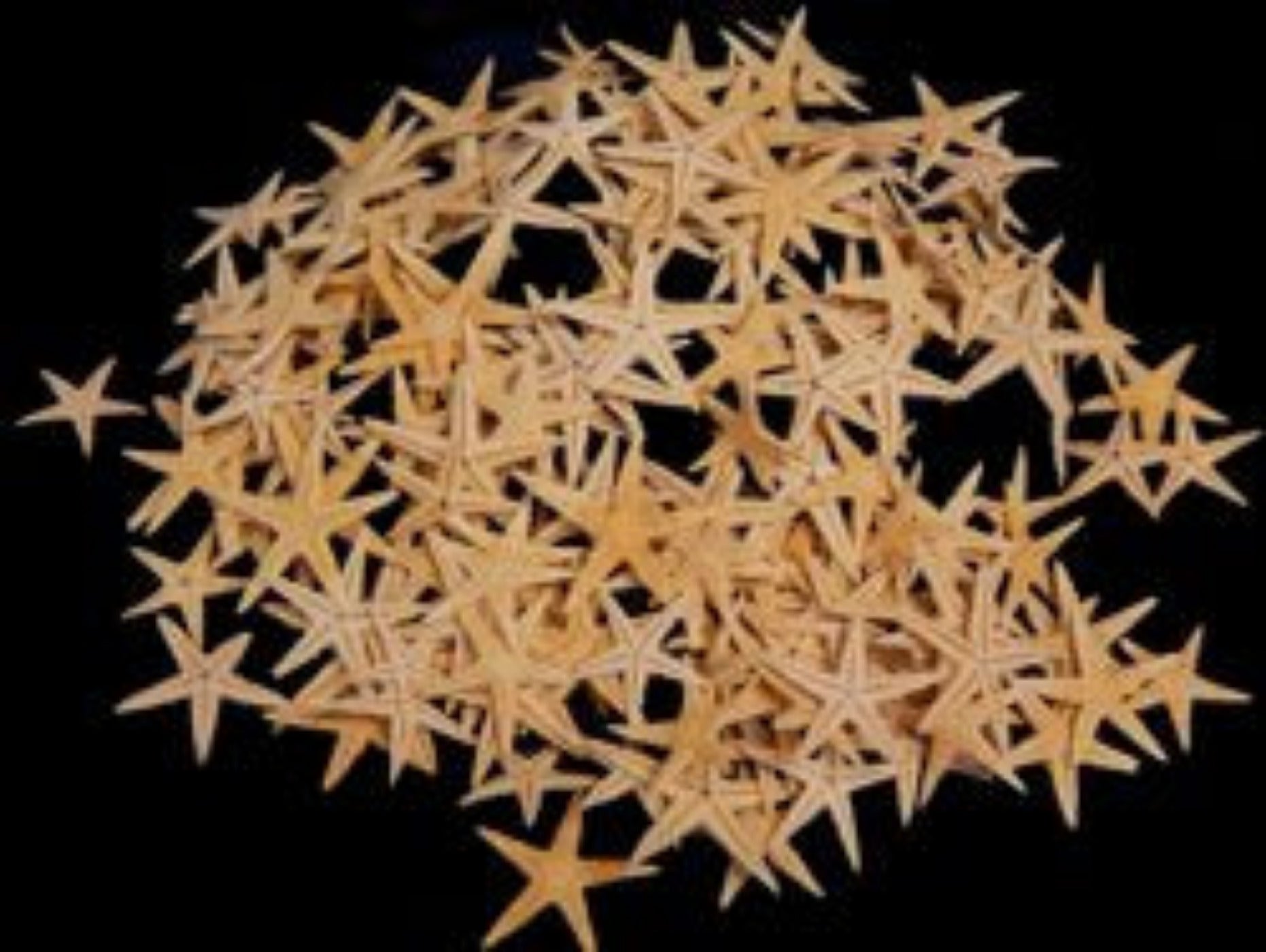 Tan Starfish measuring 1 to 1 1/2"  Sold Each        61626