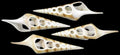 Four Sided Tibia Shell Cuts measuring 3 to 4 1/2" Sold Each   31926