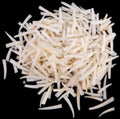 Tusk White  1/2 to 1" Shells Sold By The Ounce ####