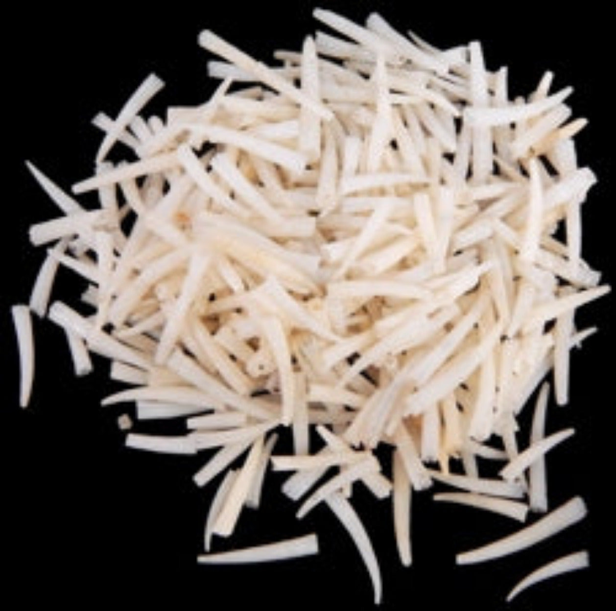 Tusk White  1/2 to 1" Shells Sold By The Ounce ####