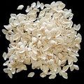 White Coquina shells measuring Less Than 1/2"  Sold By The Ounce     30826