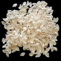 White Coquina shells measuring Less Than 1/2"  Sold By The Ounce     30826